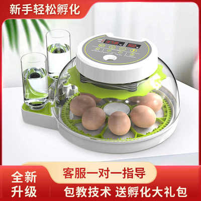 小鸡孵化器家用全自动