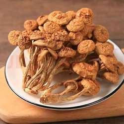 新疆巴音布鲁克景区珍品食材 纳美菇天山野滑菇景区干蘑菇野蘑菇