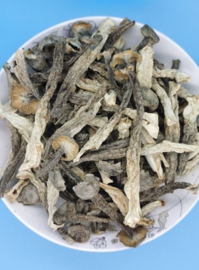 巴音布鲁克草原杠菇巩乃斯干蘑菇那拉提野蘑菇干精选新货1斤