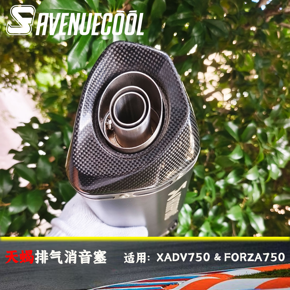 佛沙Xadv750天蝎排气消音塞定制