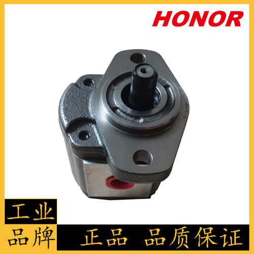 液压泵高压齿轮泵HONOR