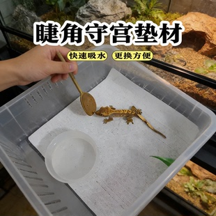 睫角守宫垫材爬宠缸蛇类专用垫材快速吸水更换方便通风爬虫箱配件