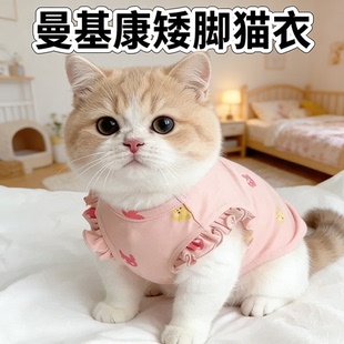 曼基康矮脚猫专用衣服拿破仑米努特四季薄款防掉毛外出宠物服饰