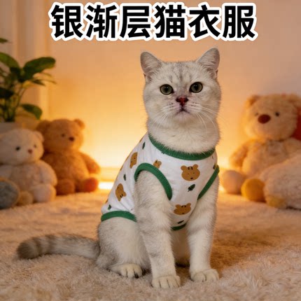 银渐层专用衣服四季薄款背心防掉毛外出春秋可爱猫咪宠物服饰用品