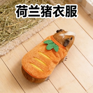 荷兰猪衣服专用无毛豚鼠保温保暖加厚毛绒背心俏皮可爱宠物服饰