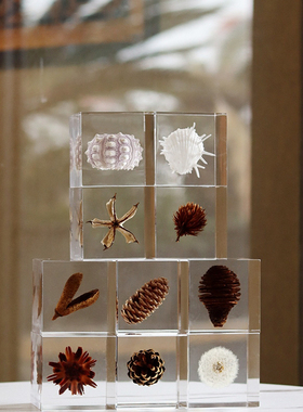 植物标本蒲公英蝴蝶透明摆件客厅书房现代轻奢树脂设计师软装饰品