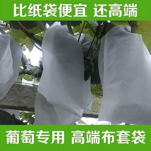水果套袋防鸟通用瓜果防虫网袋无花果枇杷葡萄桃子草莓透火橡皮泥