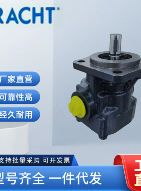 克拉克KRACHT齿轮泵KF 25 32 40 50 63 80 RF1-D15 D25 RG15 油泵