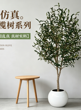 北欧高端仿真橄榄树落地盆栽