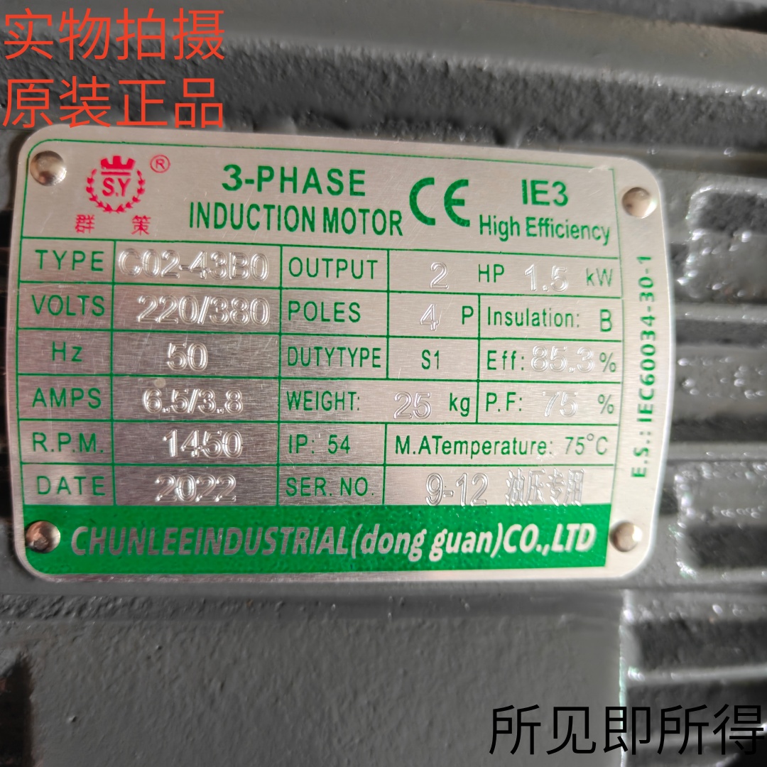 SY台湾群策电机C02-43B0 2HP1.5KW/3HP 2.2KW/4HP 3KW神煜SHENYU