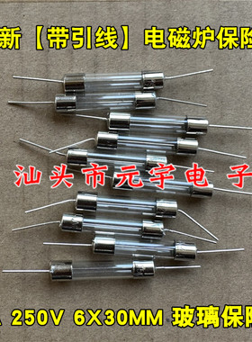 全新原装带引线电磁炉保险丝 6*30mm 15A 250V 6X30MM 玻璃管