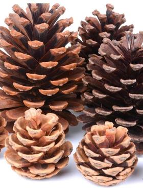 松塔松果装饰diy材料包摆件干花幼儿园天然手工材料树枝挂饰木片