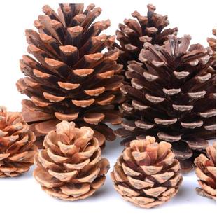 松塔松果装饰diy材料包摆件干花幼儿园天然手工材料树枝挂饰木片