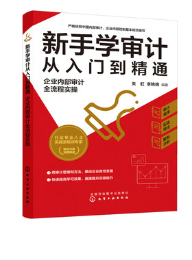 正版 新手学审计从入门到精通 企业内部审计全流程实操 审计新手流程实操指导审计实务入门书籍审计准则内审人员内部审计工作宝典