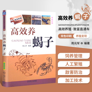 正版现货 高效养蝎子 科学办好蝎子养殖场 养蝎子技巧 高效养蝎子书籍 蝎子养殖技术大全书籍 养蝎书籍 蝎子治病与防治技术