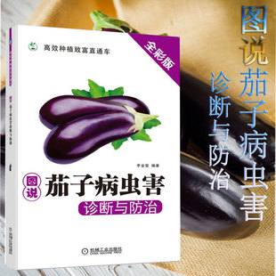现代蔬菜病虫害防治 绿色蔬菜栽培技术指导书籍茄果类蔬菜种植技术大全教程 图说茄子病虫害诊断与防治 茄果类蔬菜种植技术书籍