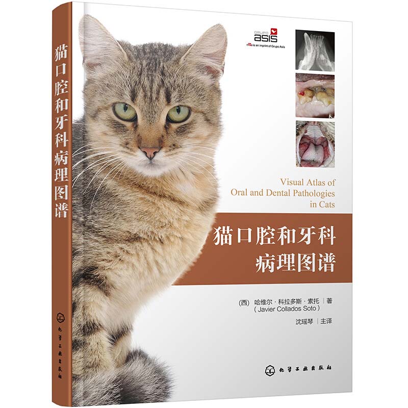 猫口腔和牙科病理图谱 猫牙科病理图谱治疗手册 犬猫组织学牙齿结构 犬猫齿系图谱 小动物牙周探查图例 宠物医生兽医入门参考书籍