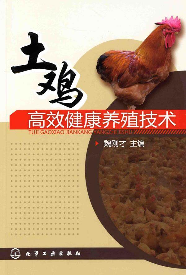 土鸡高效健康养殖技术 魏刚才 著 高效养土鸡书籍高效养殖致富 养鸡技术土鸡养殖技术大全 鸡病防治实用手册土鸡的饲养管理技术