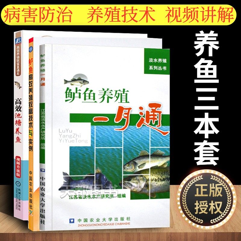养鱼技术书 鲈鱼养殖一月通+高效养鱼致富+高效池塘养鱼 鲈鱼鱼病快速诊断与防治鲈鱼鱼苗饲养建厂淡水鱼鲈鱼养殖技术书水产养殖书