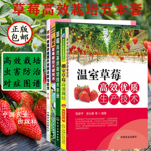 草莓高效种植栽培技术5本套 草莓种植书籍 草莓栽培技术书籍大全 果树种植栽培技术 草莓病虫害图谱 草莓病虫害防治 果树施肥