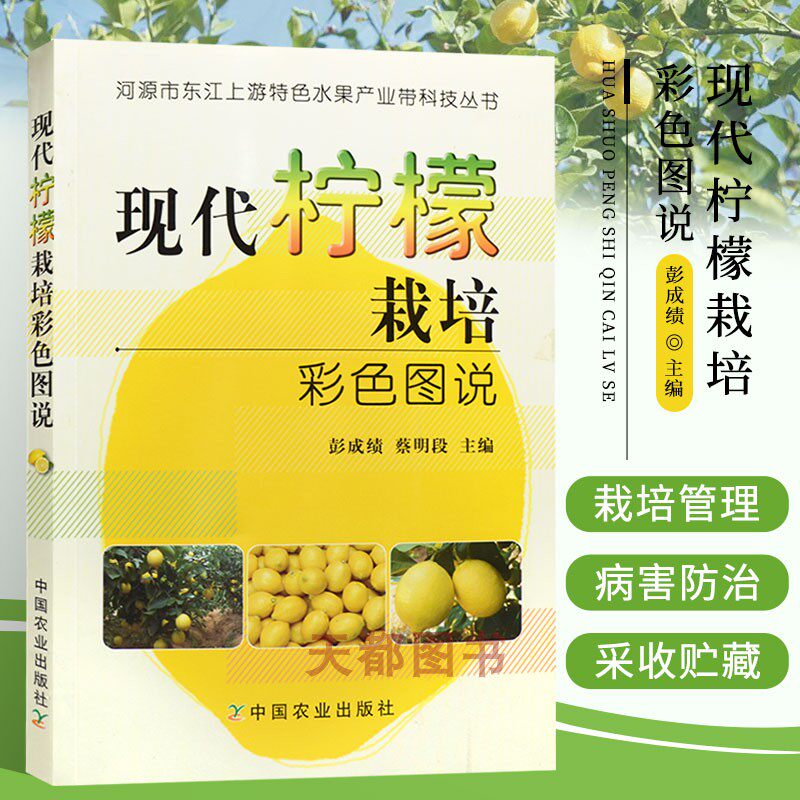 正版现货 现代柠檬栽培彩色图说 种植柠檬书籍 柠檬种植技术大全教材书籍 种植业精品图书 柠檬百科知识大全 彭成绩 蔡明段 著