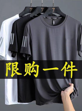 夏季冰丝短袖t恤夏季男士弹力薄款透气宽松大码速干上衣短裤套装