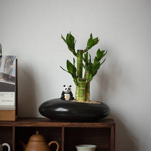 富贵竹盆栽办公室内桌面花转运卉植物净化空气招财绿植 静艺花舍