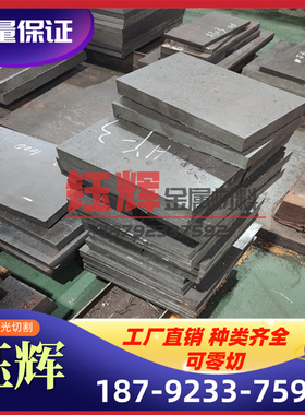 X22CrMoV121X20CrMoWV121  -合金Incoloy925薄板 圆棒钢管- 高温