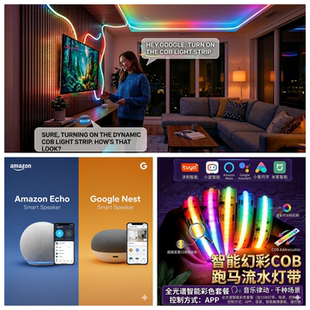 Home智能幻彩追光流水音乐律动COB彩色RGB氛围灯带 已接入Google