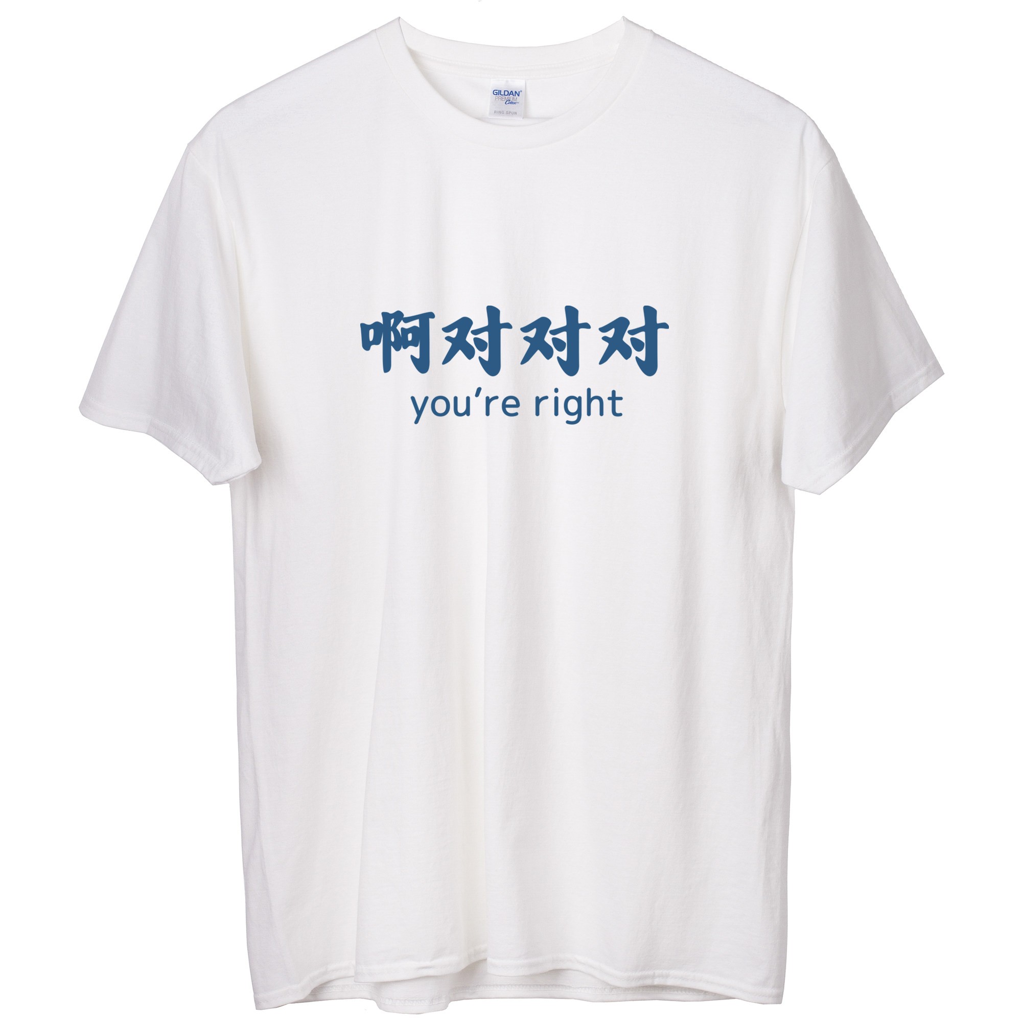 啊对对对国潮搞笑搞怪T恤男女圆领短袖印花宽松运动定制衣服学生