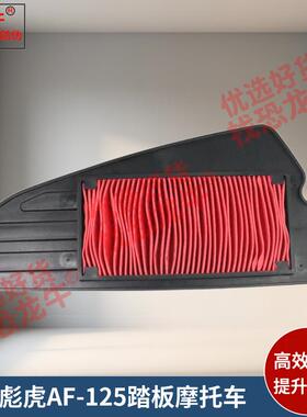 恐龙牛品牌优选码踏板摩托车空滤芯适用彪虎AF-125空气滤清器滤芯