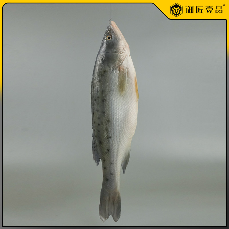 仿真海鲈鱼模型假深海鱼立体道具