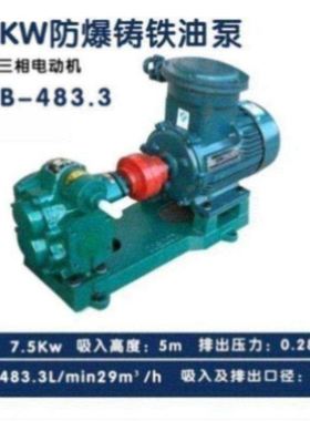 kcb齿轮泵83.3卧式铜轮防爆齿轮油泵小流量输送燃料泵