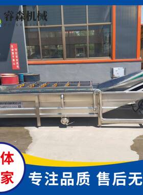 毛豆喷淋翻浪清洗设备 花生高压喷淋清洗去农残清洗设备流水线