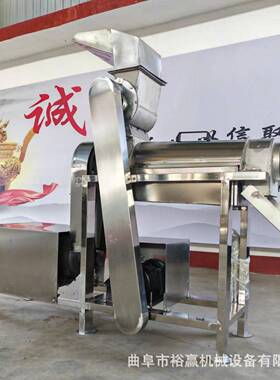 大型杨桃木瓜破碎榨汁机 冬瓜胡萝卜打汁机 大型工业榨汁机
