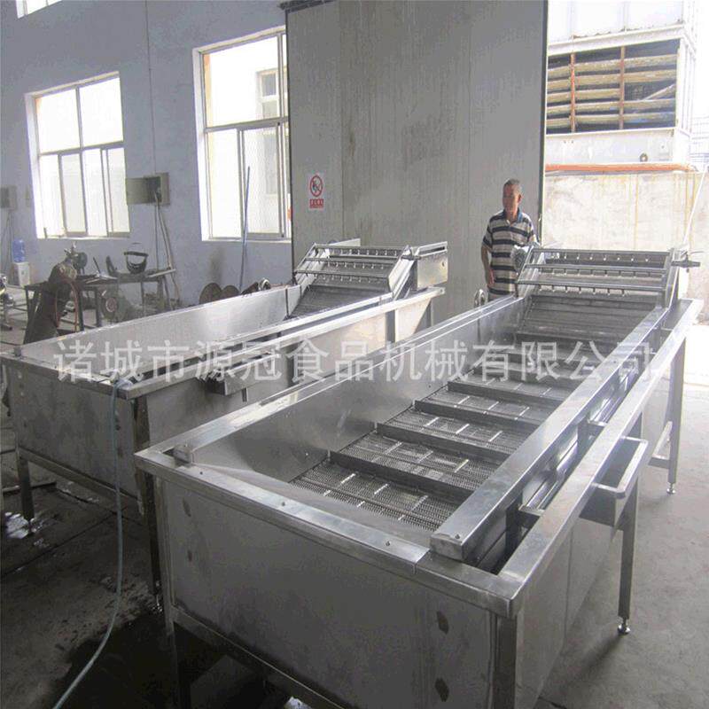 蘑菇清洗机厂家 大枣葡萄干清洗机 连续自动洗果机 机械
