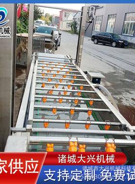 肉制品海鲜解冻设备 整鸡整鸭解冻流水线 黑水虻气泡清洗机