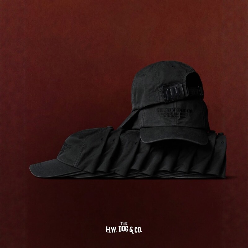 THEH.W.DOG&CO.皮质标鸭舌帽