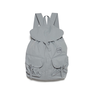 TNF Mountain Hitch Day Pack 26SS北面紫标尼龙户外口袋双肩背包