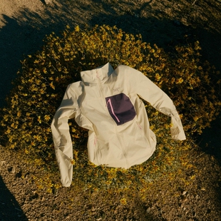 jacket Squamish 26SS 始祖鸟Beams独占 ARC 宇宙开花 TERYX