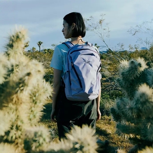 TERYX 宇宙开花 Manits26 始祖鸟Beams独占 双肩背包 26SS ARC