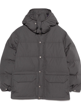 TNF 65/35 Sierra Parka 25AW 北面紫标光电子机能口袋连帽羽绒服