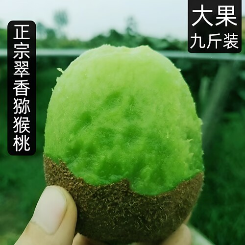 翠香猕猴桃周至整箱9斤