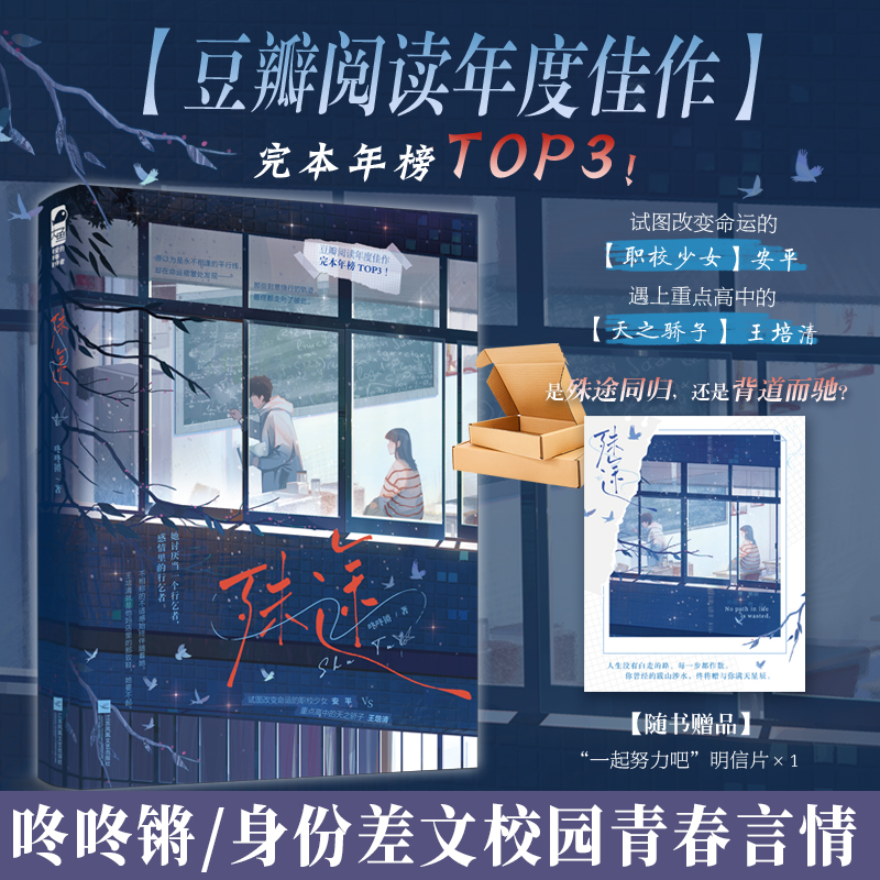 殊途 咚咚锵著 豆瓣身份差文青春校园女性成长言情小说实体书 职校少女 安平VS天之骄子 王培清