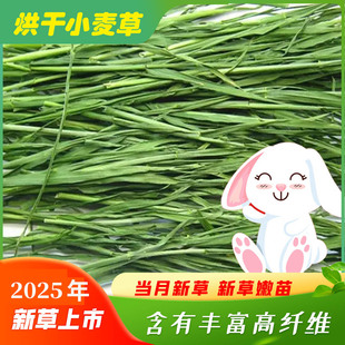 2025年烘干小麦草干草兔子龙猫荷兰猪牧草小麦新草 干草1000g毛重