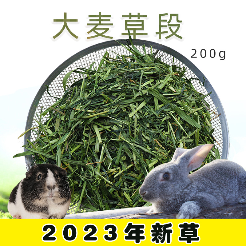 大麦草段200克豚鼠粮荷兰猪天竺鼠兔兔干草龙猫牧草饲料4包包邮