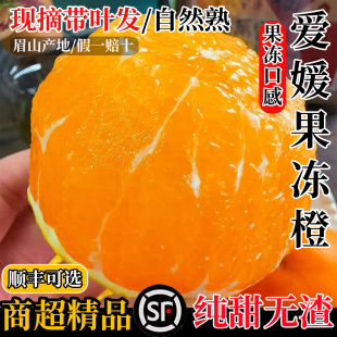 正宗四川爱媛38果冻橙当季新鲜水果应季橙子整箱10斤礼盒装橘子桔