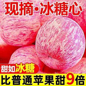 正宗山东烟台苹果水果新鲜脆甜当季丑平果5斤9斤新果冰糖心凉山