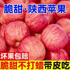 当季新鲜红富士苹果水果陕西膜袋冰糖心丑苹果脆甜整箱特价整箱包