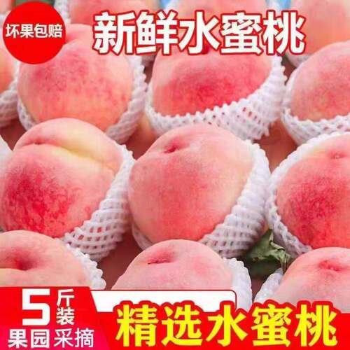 现摘现摘新鲜桃子水蜜桃5斤脆桃毛桃当季孕妇时令水果5斤整箱包邮